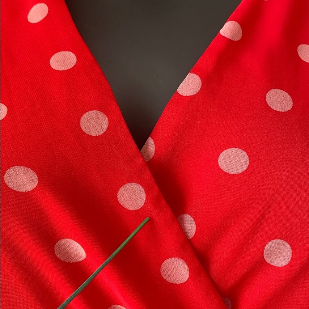 Miami Red and White Polka Dot Mini Sheer Dress - Picture 13 of 13